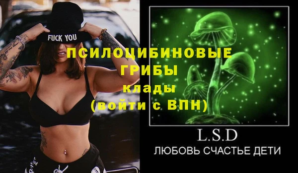 прущий лед Верея