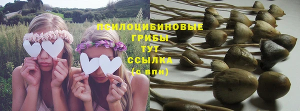 молекула духа Верхний Тагил