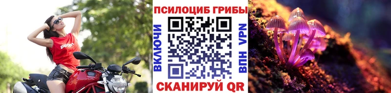 Купить где  Знаменск  Псилоцибиновые грибы GOLDEN TEACHER 